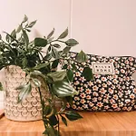 Casa Encanto 拉哈雷斯